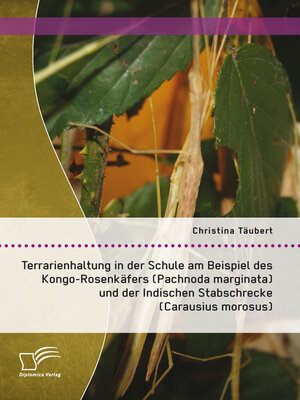 cover image of Terrarienhaltung in der Schule am Beispiel des Kongo-Rosenkäfers (Pachnoda marginata) und der Indischen Stabschrecke (Carausius morosus)